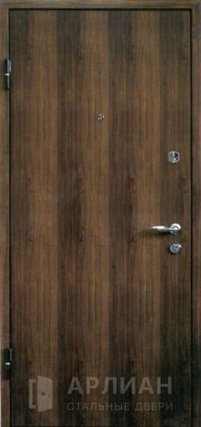 Фото №2 «Порошковая входная уличная дверь №2»